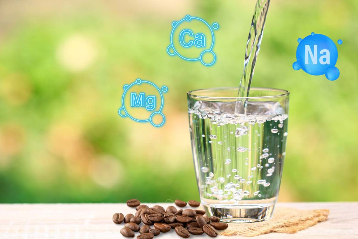 What You Should Know about Water for Coffee
